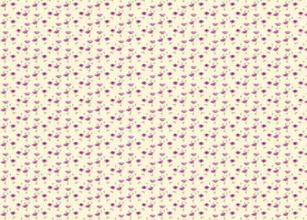 Pink Poppy Wallpaper
