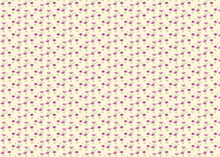 Pink Poppy Wallpaper