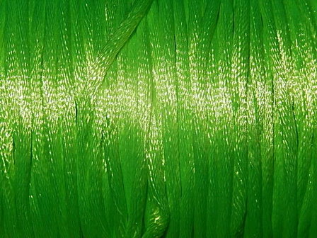 D2153 Satijnkoord 2 mm neon groen