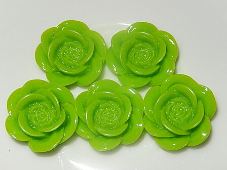 CBK501B18 Resin bloem 5 st groen 18 mm