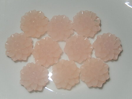 CBK603B15J Jelly resin bloem 10 st zalmroze 15 mm