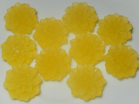 CBK301B15J Jelly resin bloem 10 st geel 15 mm