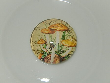 CBG121R14 Glascabochon met paddestoelen 1 st rond 14 mm