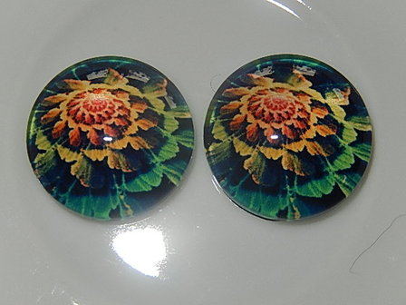 CBG929R10 Glascabochon met plantmotief rond 10 mm groen