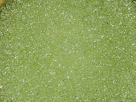 TR-11-15 Toho rocailles 11/0 10 gr citrus spritz