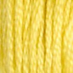 DMC 17 limonite