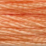 DMC 3825 Pumpkin - PALE