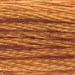 DMC 976 Golden Brown - MED