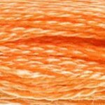 DMC 722 Orange Spice - LT