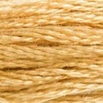 DMC 422 Hazelnut Brown - LT
